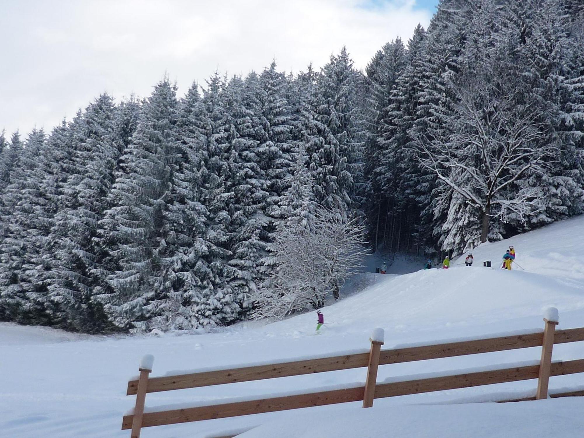 Penthouse Alpine Living Direkt An Der Skipiste By Schladmingurlaub Haus im Ennstal Exterior photo